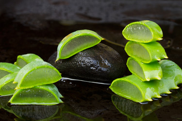 Similar image 7663795