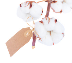 Similar image 7663799