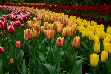 Similar image 7663815