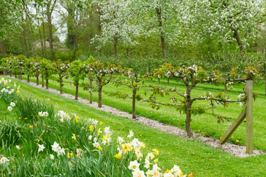 Similar image 7663819