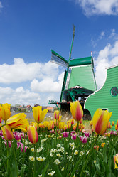 Similar image 7663822