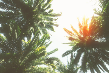 Similar image 7663830