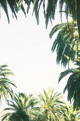 Similar image 7663831