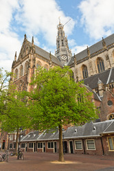 Similar image 7663835