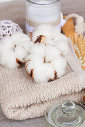 Similar image 7663848