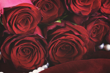 Similar image 7663858