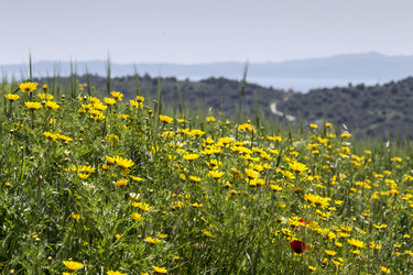 Similar image 7663886