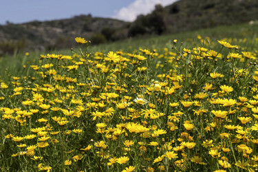 Similar image 7663887