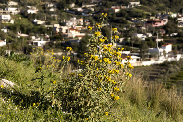 Similar image 7663888