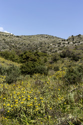 Similar image 7663890