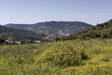 Similar image 7663891