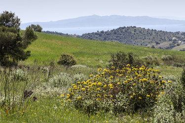 Similar image 7663892