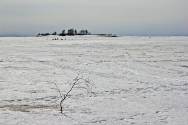 Similar image 7663893