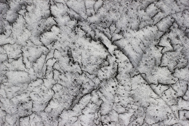 Similar image 7663894