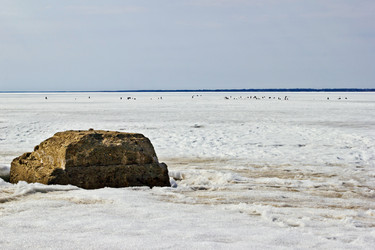 Similar image 7663895