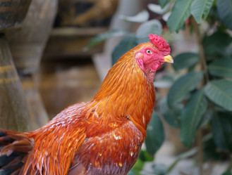 Similar image 7663907