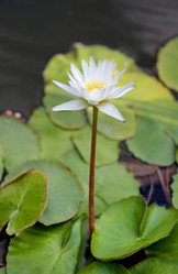 Similar image 7663912