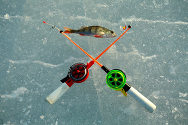 Similar image 7663919