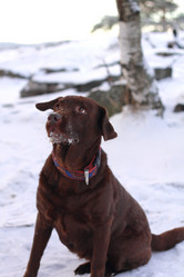 Similar image 7663921