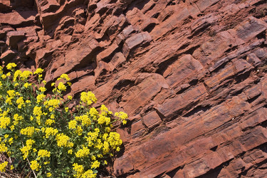 Similar image 7663951