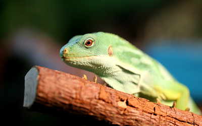 Similar image 7664001