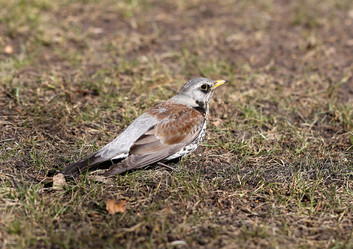 Similar image 7664016