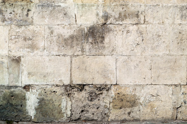 Similar image 7664034