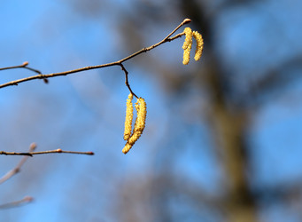 Similar image 7664044