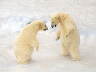 Similar image 7664057