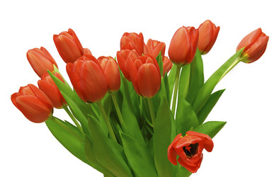 Similar image 7664061