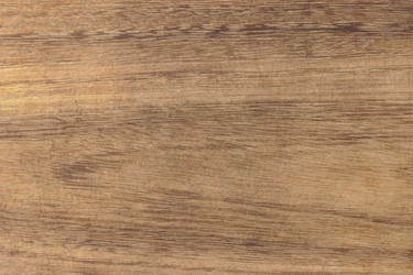 Similar image 7664094