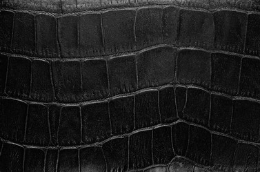 Similar image 7664106