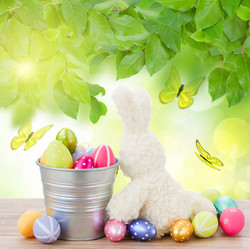 Similar image 7664126