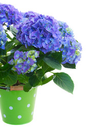 Similar image 7664143