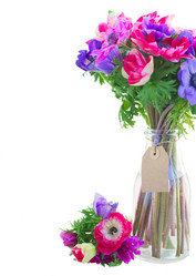 Similar image 7664146