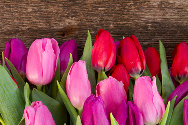 Similar image 7664161