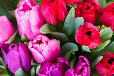 Similar image 7664163