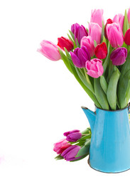 Similar image 7664165