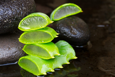 Similar image 7664172