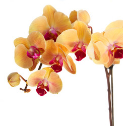 Similar image 7664177