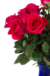 Similar image 7664178