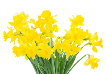 Similar image 7664184