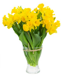 Similar image 7664185