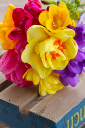 Similar image 7664212