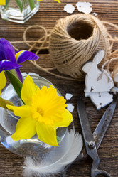 Similar image 7664216