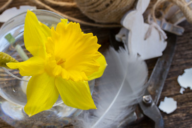 Similar image 7664217