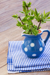 Similar image 7664220