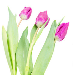 Similar image 7664224