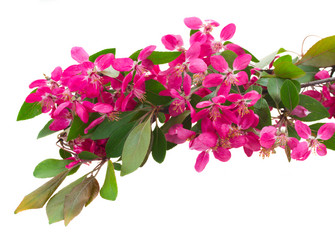 Similar image 7664227