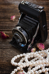 Similar image 7664249